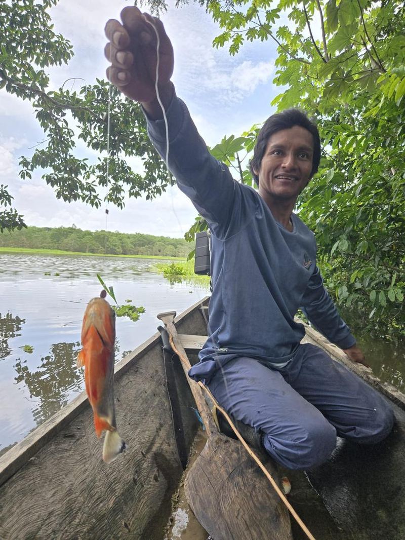 Un guide montre un piranha au bout de sa ligne, depuis la pirogue