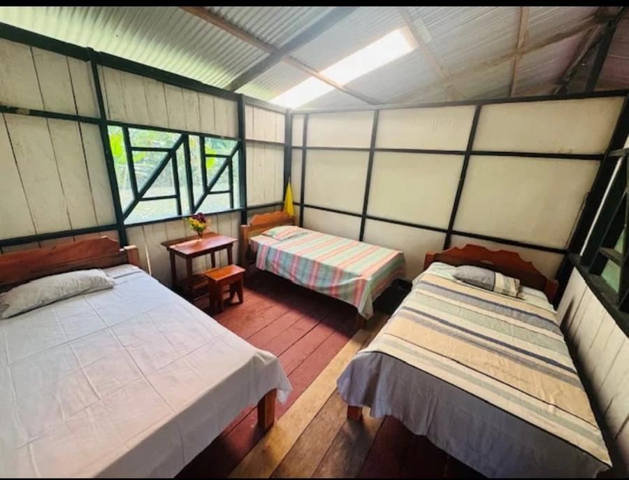 Une chambre du campement, trois lits avec moustiquaire et plancher de bois