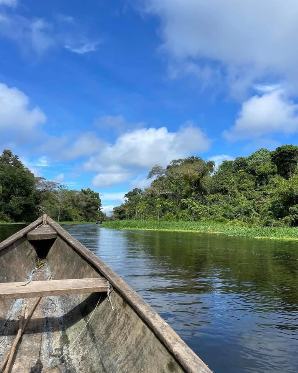 Vue depuis la proue d'une pirogue de bois, remontant un bras du fleuve bordé de forêt